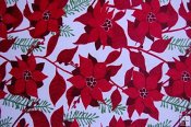 Robert Kaurman Minky Print Fabric - Christmas - Poinsettia Robert Kaurman Minky Print Fabric - Christmas - Poinsettia