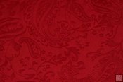 Minky Embossed Paisley Fabric Minky Embossed Paisley Fabric